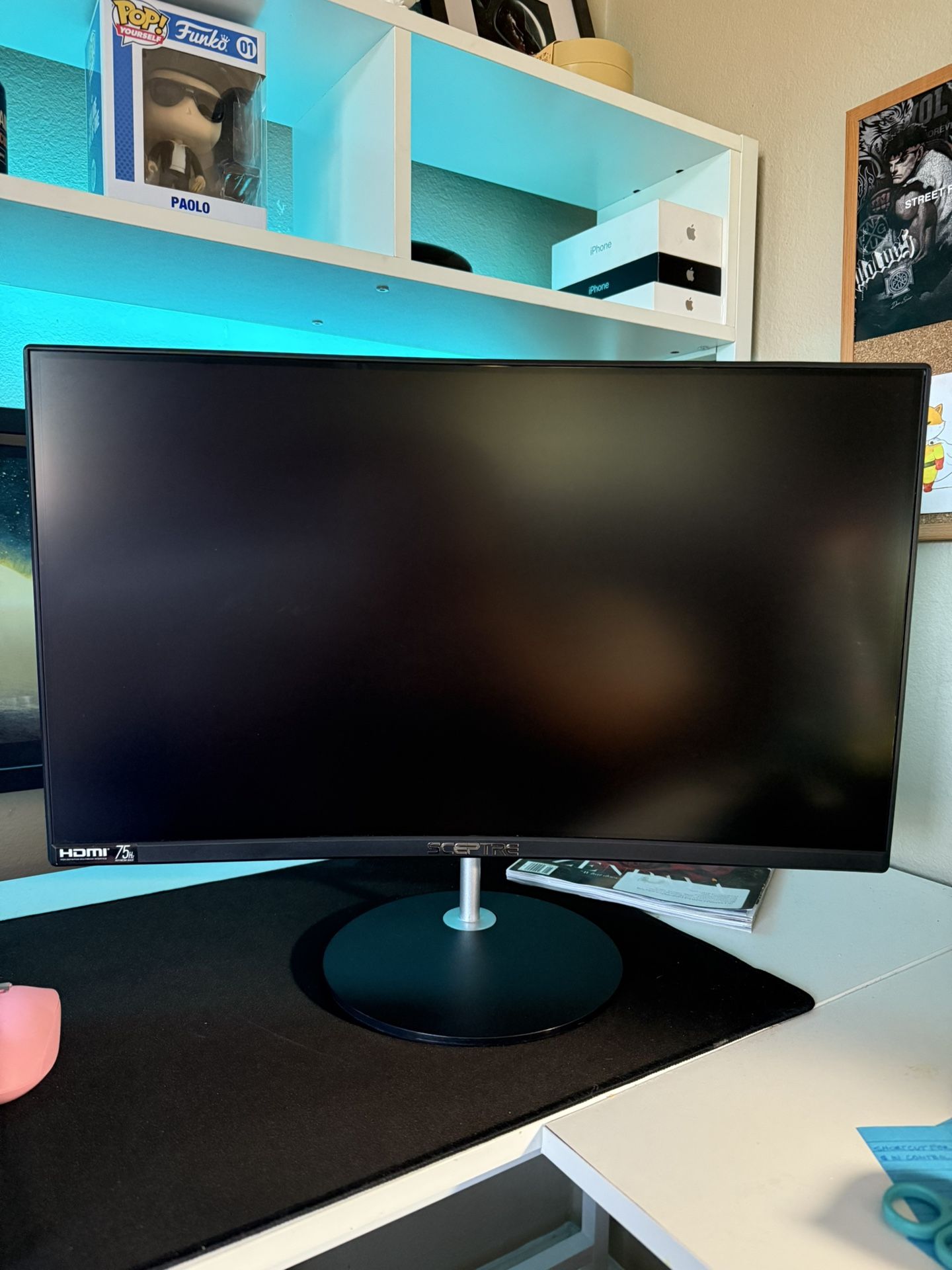 Sceptre 24 Inch 1080p 75hz Monitor