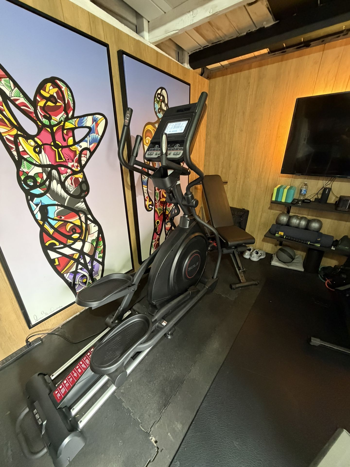 SOLE Fitness Elliptical - Model E25