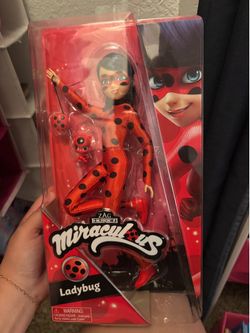 Lady bug toy