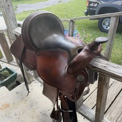 16 In Western Saddle