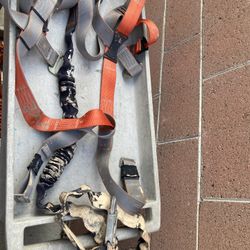 Safety Harness