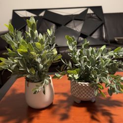 Fake House Plants - ($5)