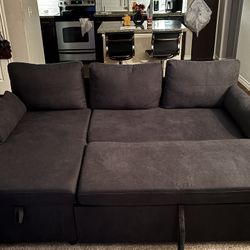 Couch (turns Into A Bed)