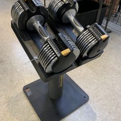 Gold's gym dumbbells for sale sale