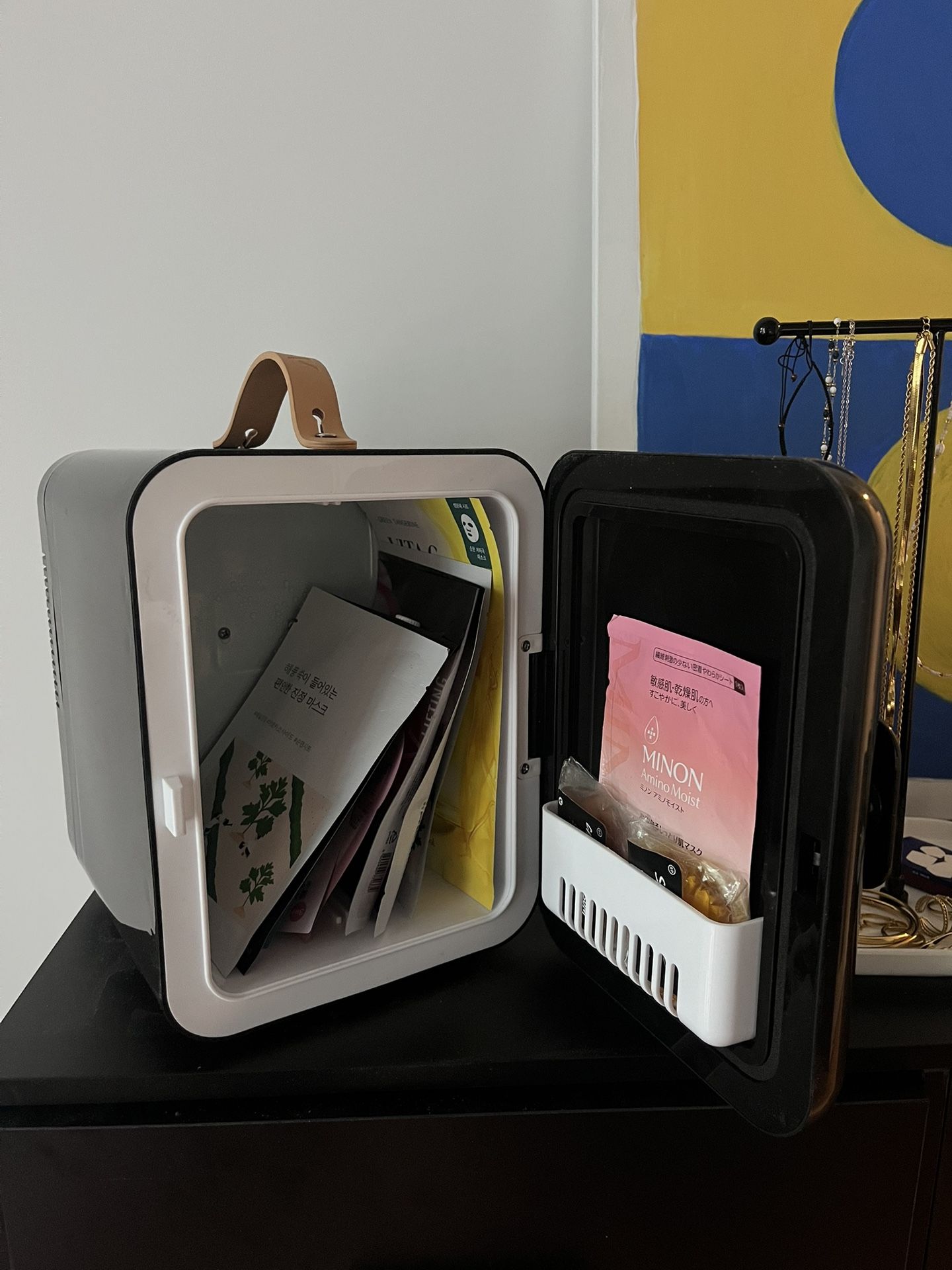 Portable Mini Fridge