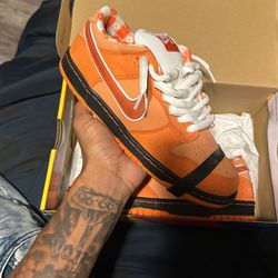 ORANGE LOBSTER SIZE 8