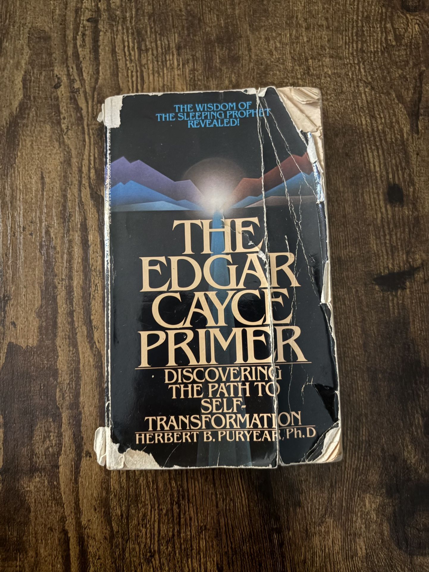 The Edgar Cayce Primer
