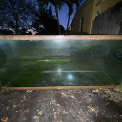 170 Gallon Aquarium