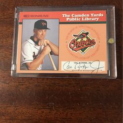 Rare Cal Ripken Baseball Card