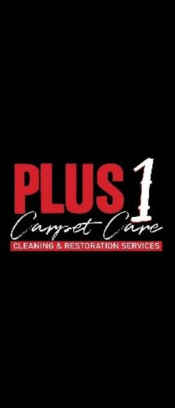 Cleaner carpet