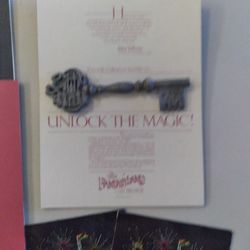 Disney Fantasy Land Opening Day Key And Cast Members Memorabilia 