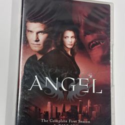Angel The Complete First Season 6 Disc Set DVD Excellent Condition 