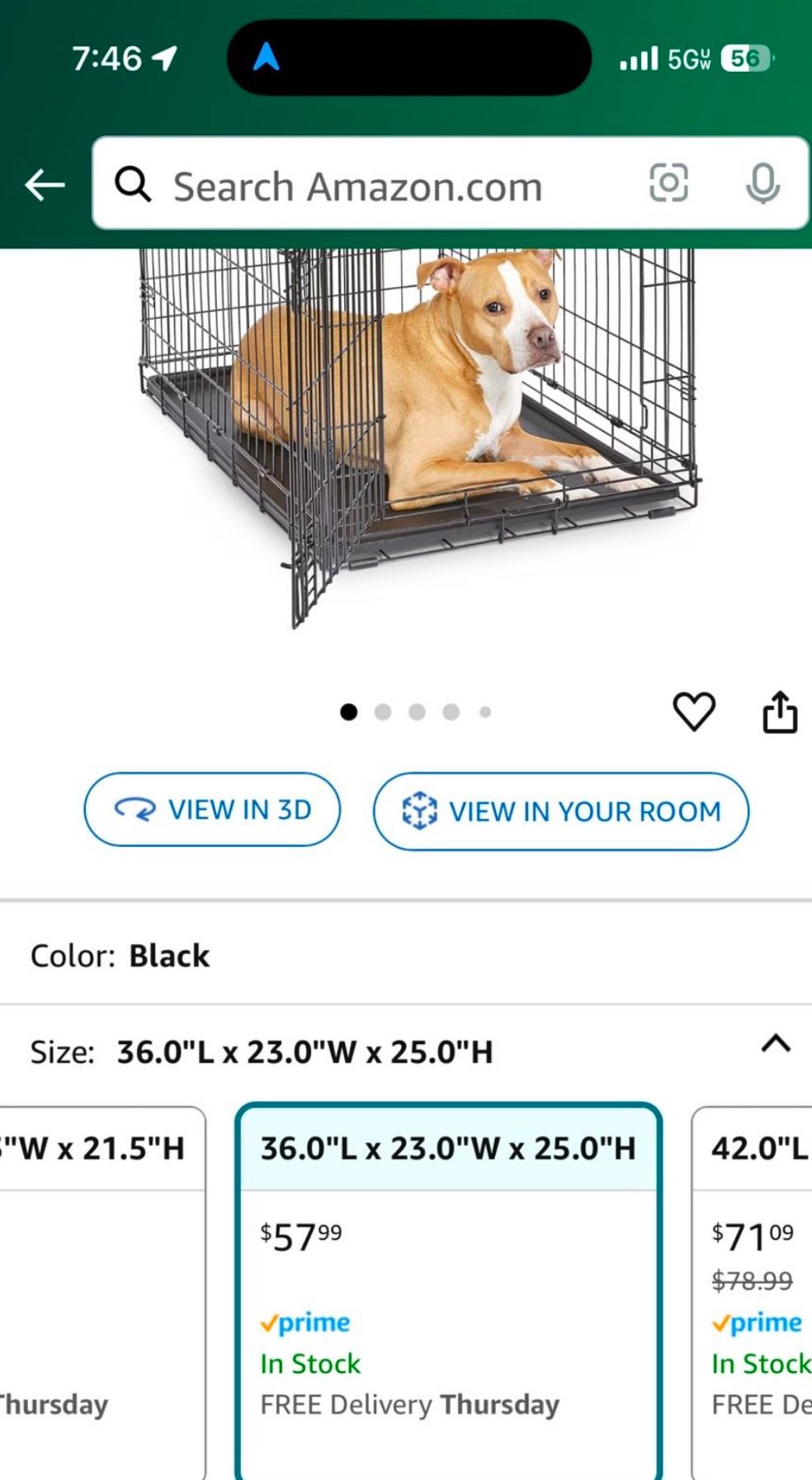 dog crate