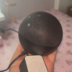 Echo Dot Alexa 