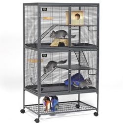 Double Critter Nation (Single + Add On Expansion Unit)