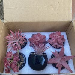 Artificial Succulents Desk Decorations