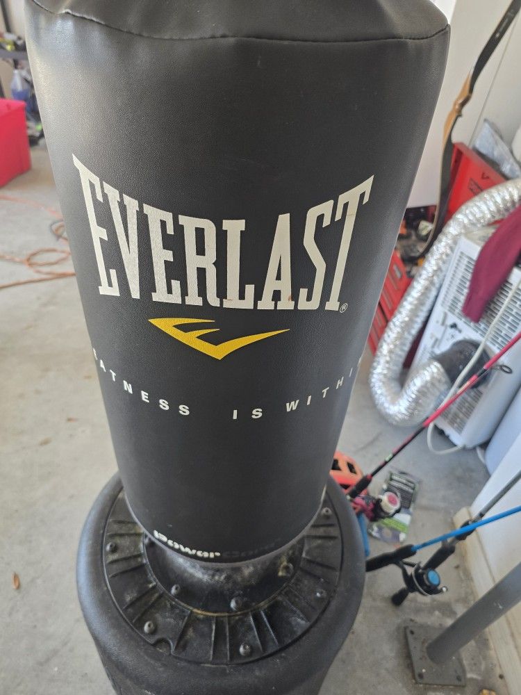 Everlast Punching Bag With Gloves 