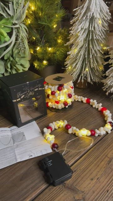 Pottery Barn Popcorn & Cranberry String Lights Garland
