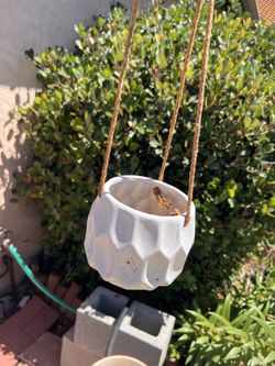 Hanging Ceramic Pot