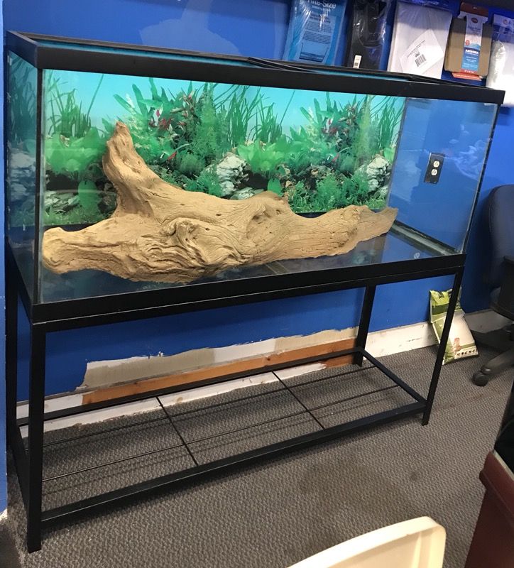 120 gallon snake reptile tank and stand $300