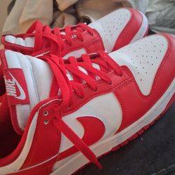 Nike Dunks Size 9 Mens