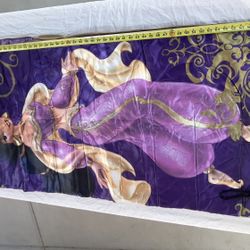 Disney Jasmin Sleeping Bag  With Cover Bag Excellent Condition 