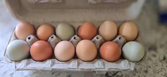 Eggs