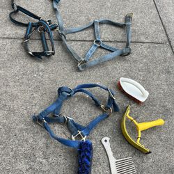 Horse stuff $35