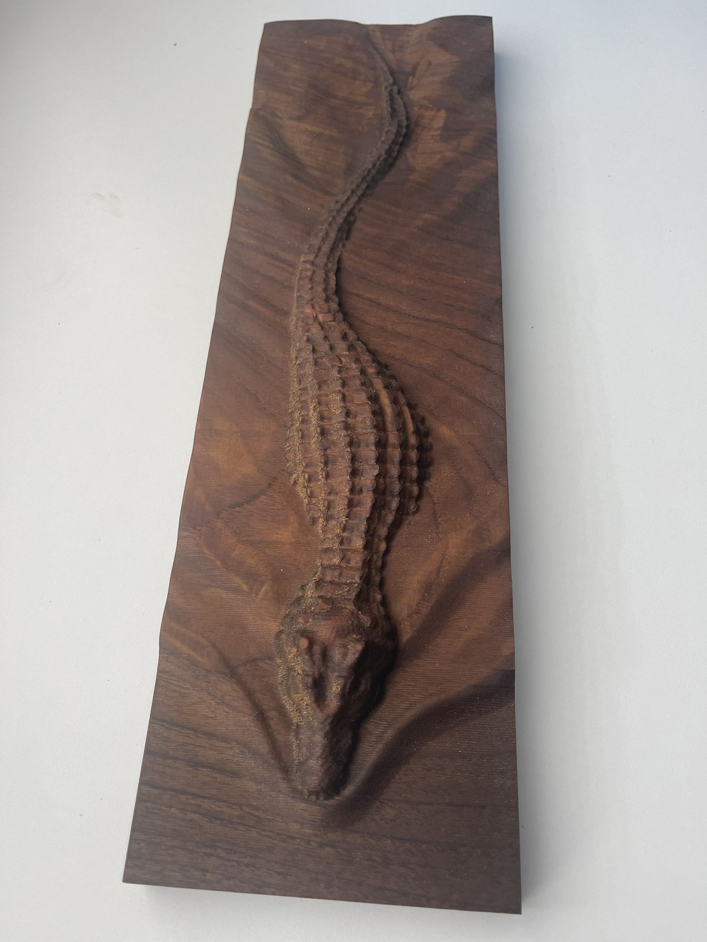 Alligator Art