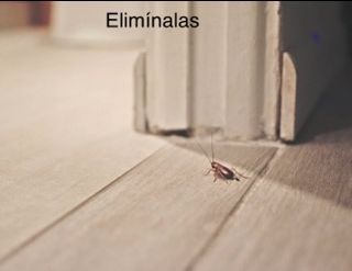 Fumigasiones