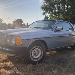 1980 Mercedes-Benz W 123 Coupe