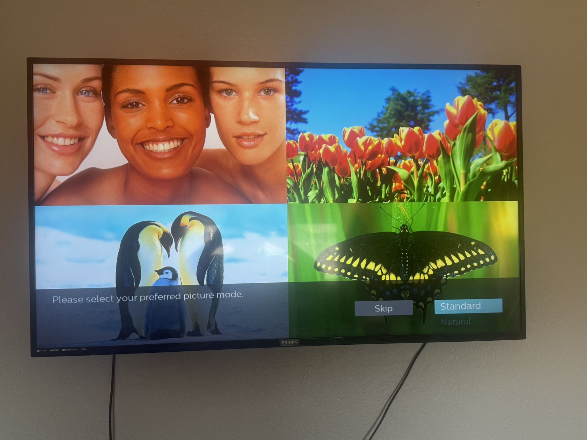 55” Phillips Tv