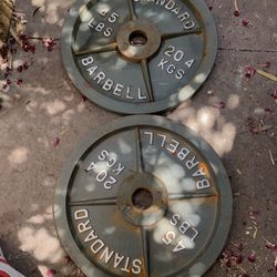 Standard Weights Olympic 