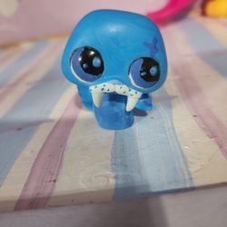 Custom Walrus