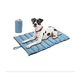 Blue Outdoor Dog Bed Mat for Sleeping