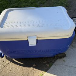 Medium Ice Chest/cooler