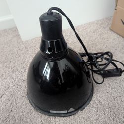 Light Fixture For Pets