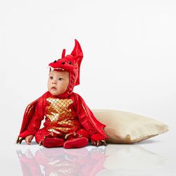 Pottery Barn Kids infant baby Red Dragon Costume Halloween Dress Up Play