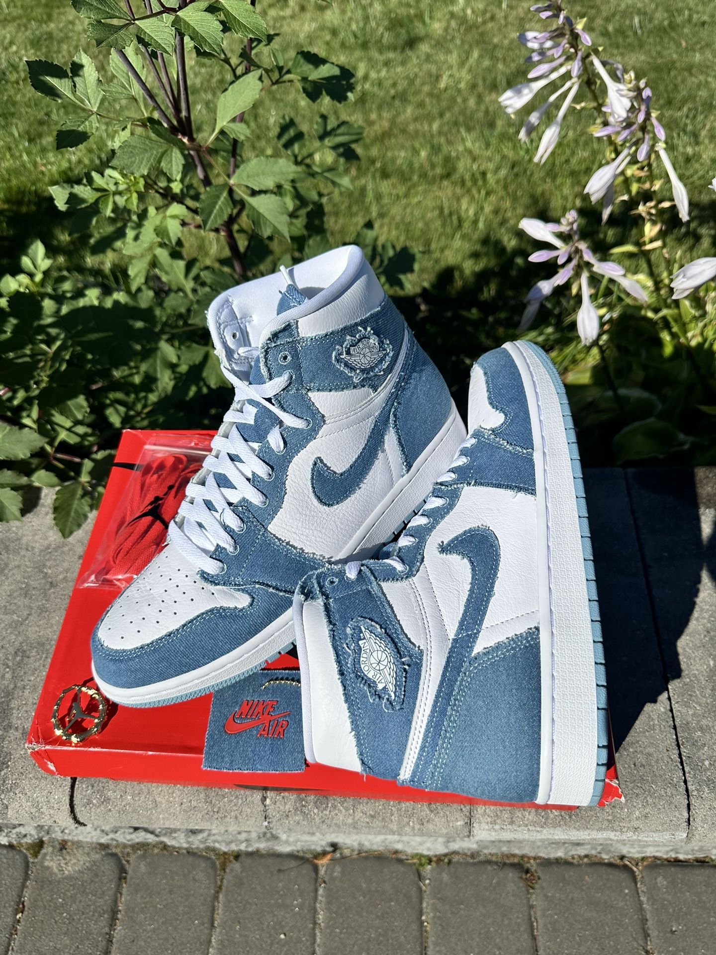Jordan 1