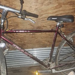 Giant Innova Moutain Bike