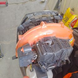 Echo Leaf Blower