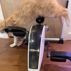 Desk Cycle