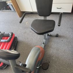 Recumbent Bike 