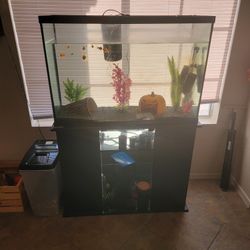 45 Gallon Fish Tank 