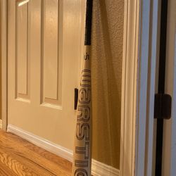 Warstic Bonesaber Youth Baseball Bat
