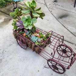 Succulent Arrangement In Metal Tractor Planter