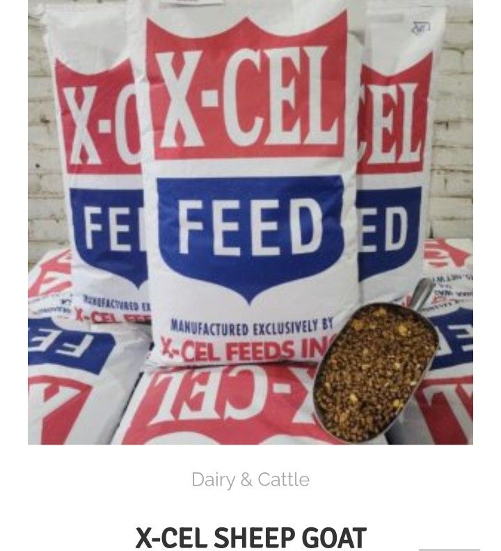 X-CEL GOAT/SHEEP FEED (2BAGS)