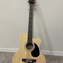 Acoustic Electric Guitar