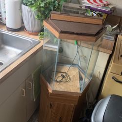 30 Gal Fish Tank 