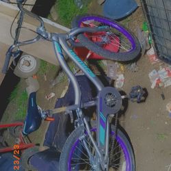 SCHWINN Girl's Bicycle. 